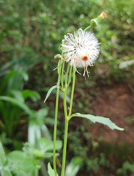 生態(tài)產(chǎn)品